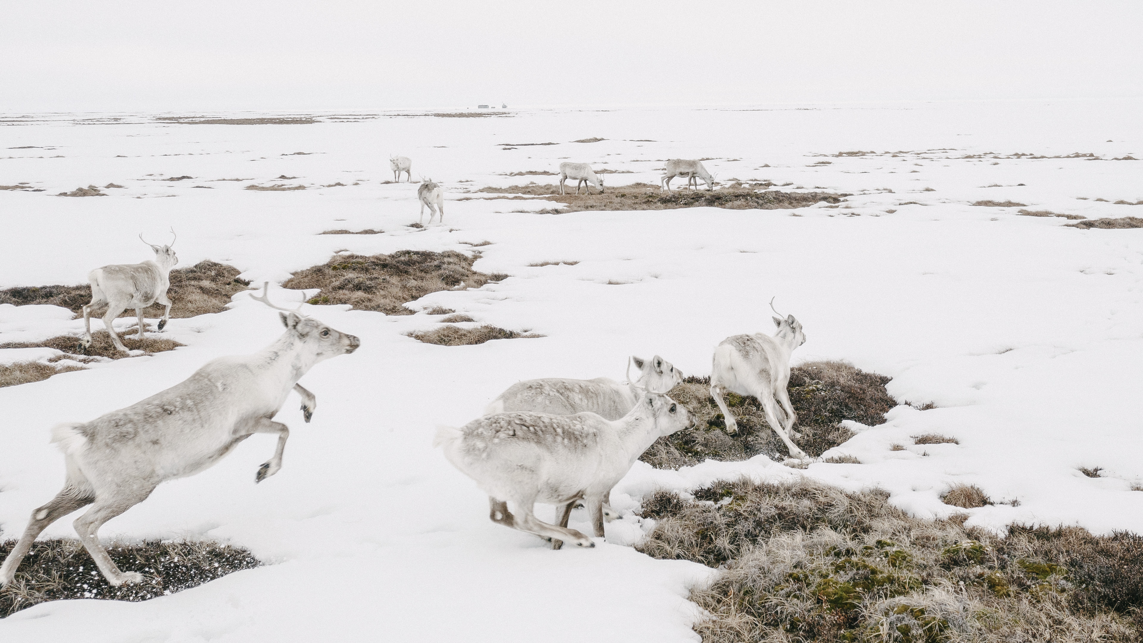 Life on Thin Ice | National Geographic Live